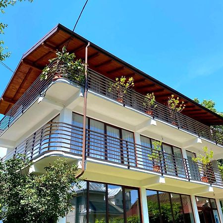 Casa Ionut Borşa Exterior foto