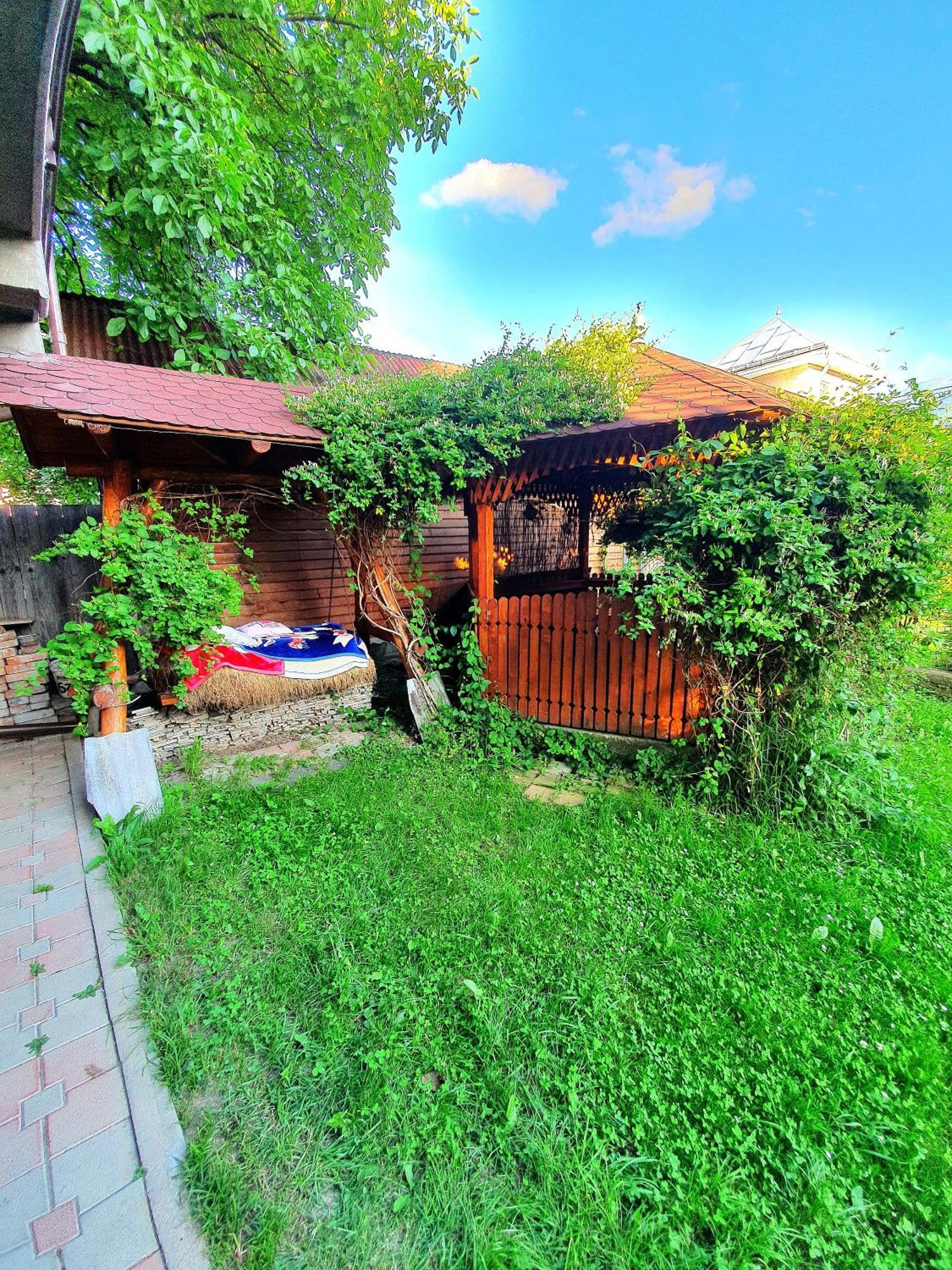 Casa Ionut Borşa Exterior foto