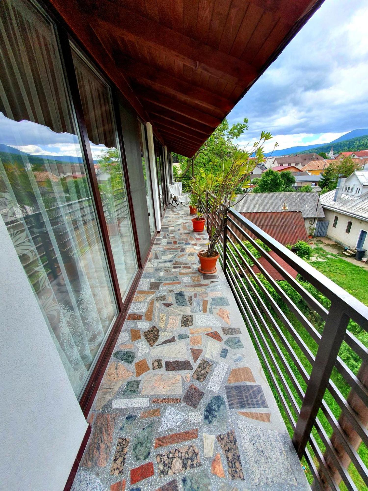 Casa Ionut Borşa Exterior foto